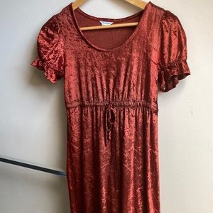 Gorgeous Velvet Vintage Maxi Dress
